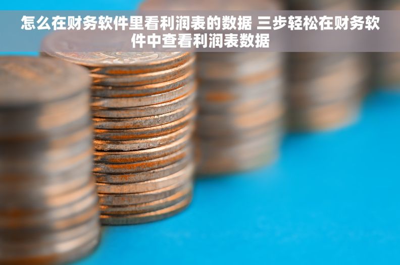 怎么在财务软件里看利润表的数据 三步轻松在财务软件中查看利润表数据