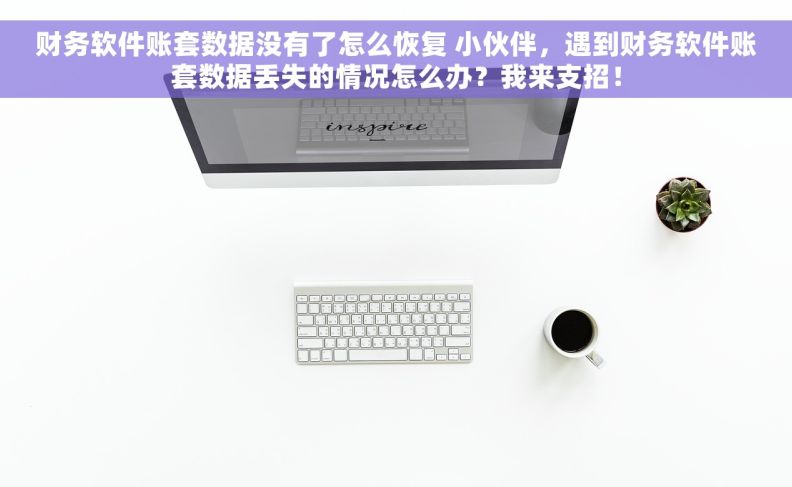 财务软件账套数据没有了怎么恢复 小伙伴，遇到财务软件账套数据丢失的情况怎么办？我来支招！