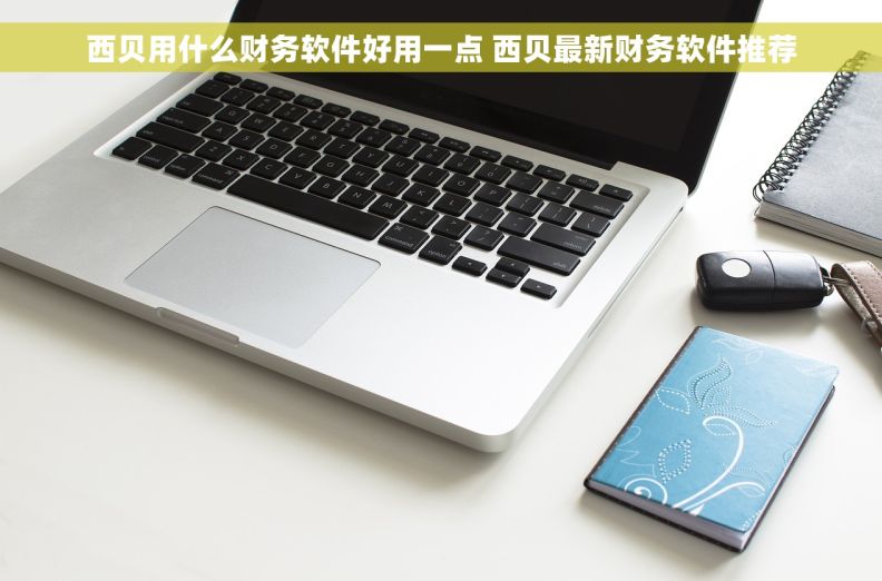 西贝用什么财务软件好用一点 西贝最新财务软件推荐