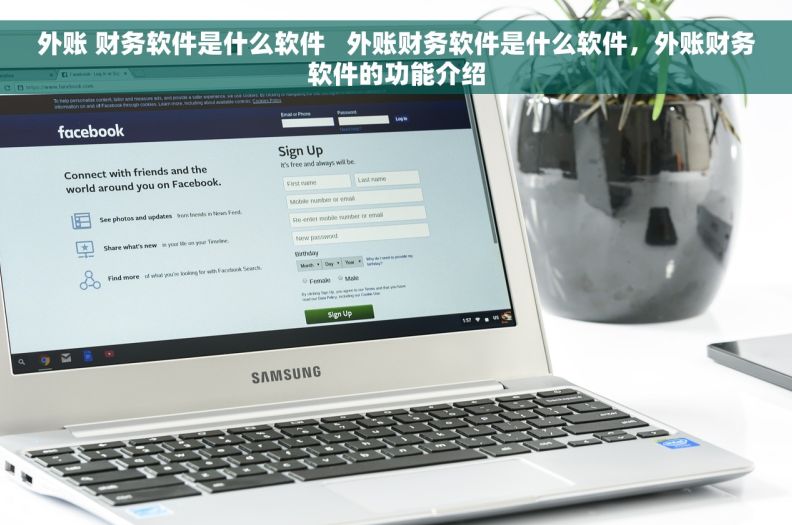 外账 财务软件是什么软件   外账财务软件是什么软件，外账财务软件的功能介绍