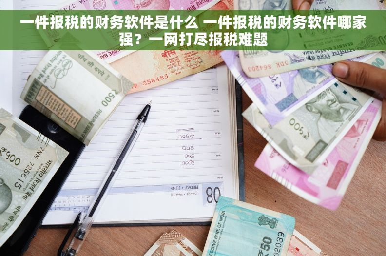 一件报税的财务软件是什么 一件报税的财务软件哪家强？一网打尽报税难题