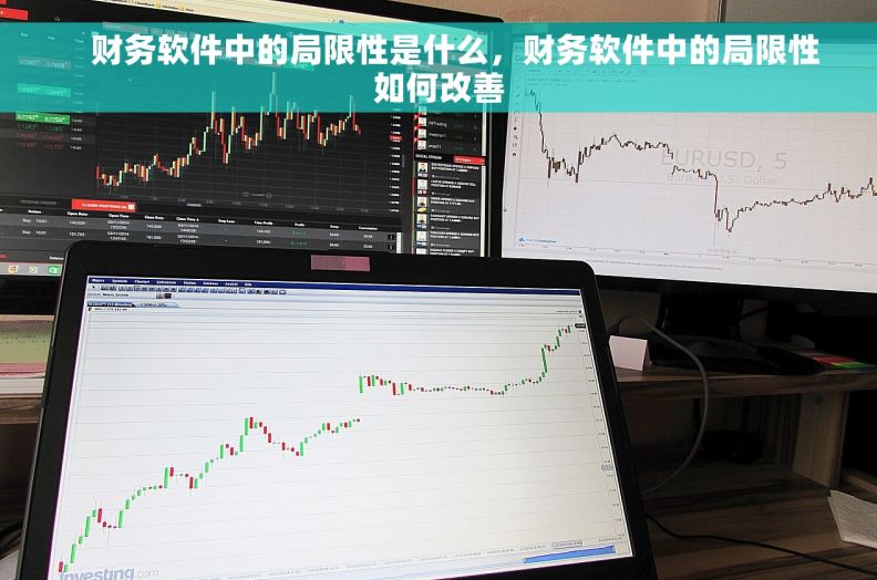     财务软件中的局限性是什么，财务软件中的局限性如何改善