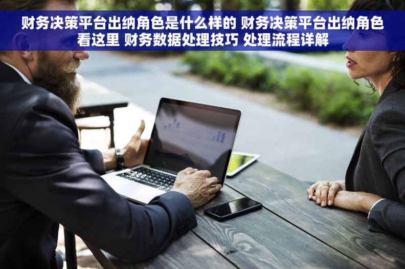 财务决策平台出纳角色是什么样的 财务决策平台出纳角色看这里 财务数据处理技巧 处理流程详解