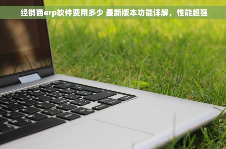  经销商erp软件费用多少 最新版本功能详解，性能超强