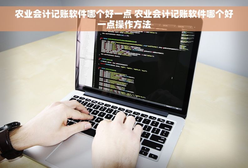 农业会计记账软件哪个好一点 农业会计记账软件哪个好一点操作方法