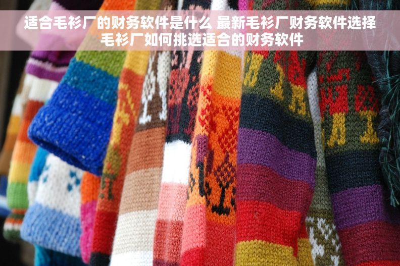 适合毛衫厂的财务软件是什么 最新毛衫厂财务软件选择 毛衫厂如何挑选适合的财务软件