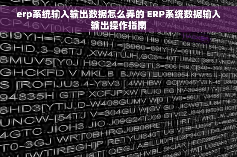 erp系统输入输出数据怎么弄的 ERP系统数据输入输出操作指南