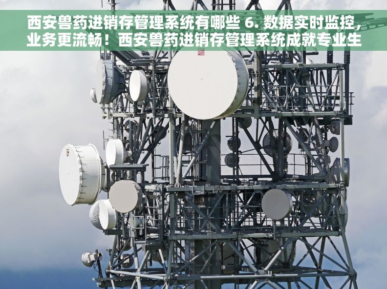 西安兽药进销存管理系统有哪些 6. 数据实时监控，业务更流畅！西安兽药进销存管理系统成就专业生产！