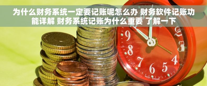 为什么财务系统一定要记账呢怎么办 财务软件记账功能详解 财务系统记账为什么重要 了解一下