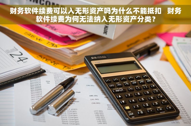 财务软件续费可以入无形资产吗为什么不能抵扣   财务软件续费为何无法纳入无形资产分类？