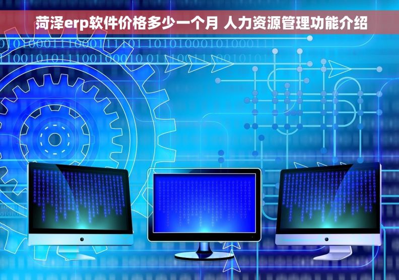  菏泽erp软件价格多少一个月 人力资源管理功能介绍