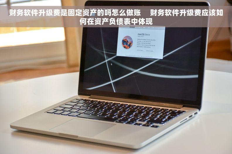财务软件升级费是固定资产的吗怎么做账     财务软件升级费应该如何在资产负债表中体现