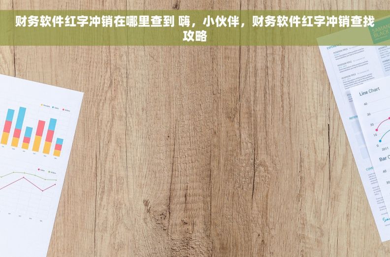 财务软件红字冲销在哪里查到 嗨，小伙伴，财务软件红字冲销查找攻略