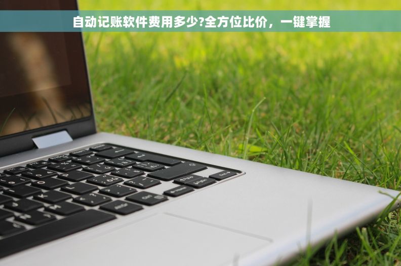自动记账软件费用多少?全方位比价，一键掌握