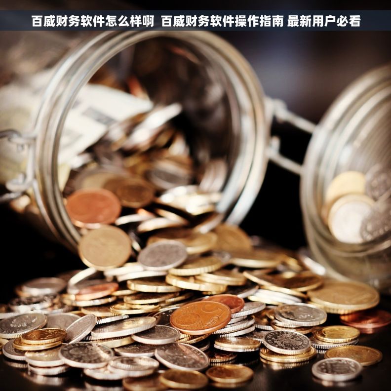 百威财务软件怎么样啊  百威财务软件操作指南 最新用户必看
