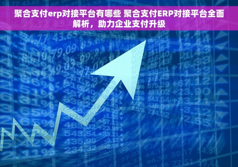 聚合支付erp对接平台有哪些 聚合支付ERP对接平台全面解析，助力企业支付升级