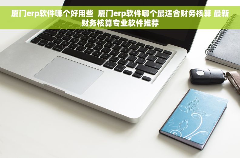 厦门erp软件哪个好用些  厦门erp软件哪个最适合财务核算 最新财务核算专业软件推荐