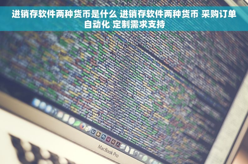 进销存软件两种货币是什么 进销存软件两种货币 采购订单自动化 定制需求支持