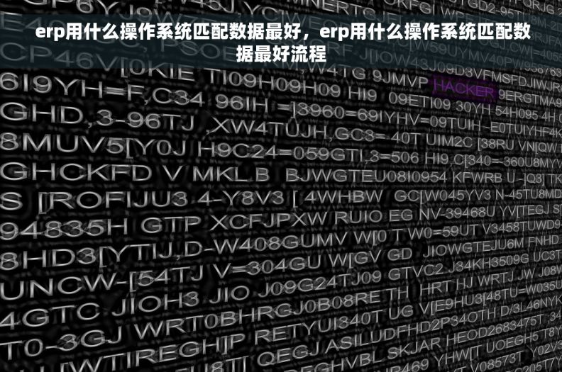  erp用什么操作系统匹配数据最好，erp用什么操作系统匹配数据最好流程
