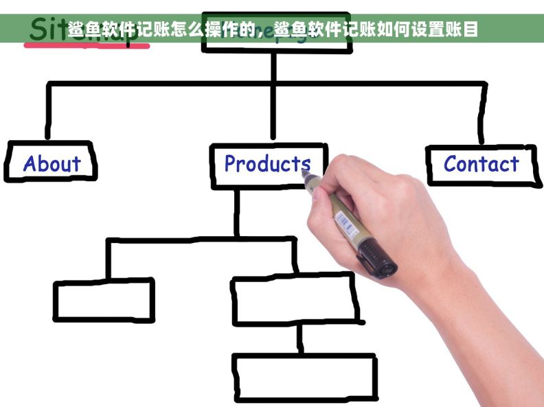 鲨鱼软件记账怎么操作的，鲨鱼软件记账如何设置账目