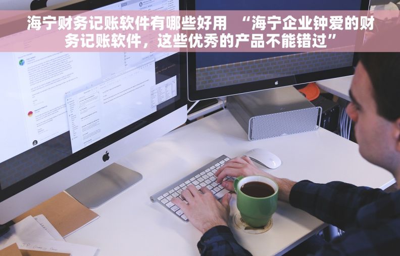 海宁财务记账软件有哪些好用  “海宁企业钟爱的财务记账软件，这些优秀的产品不能错过”