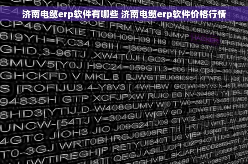济南电缆erp软件有哪些 济南电缆erp软件价格行情