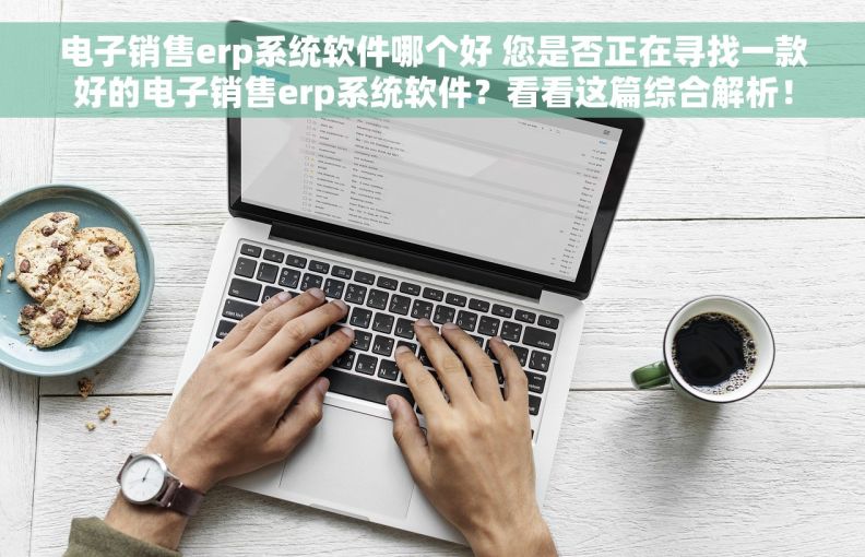 电子销售erp系统软件哪个好 您是否正在寻找一款好的电子销售erp系统软件？看看这篇综合解析！