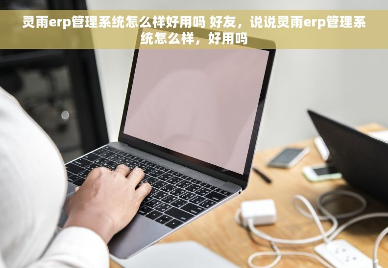 灵雨erp管理系统怎么样好用吗 好友，说说灵雨erp管理系统怎么样，好用吗