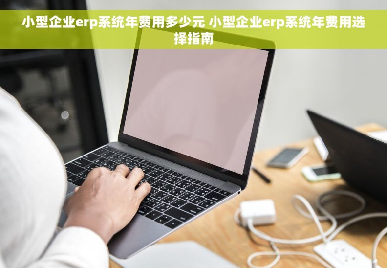 小型企业erp系统年费用多少元 小型企业erp系统年费用选择指南