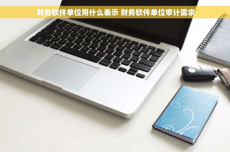  财务软件单位用什么表示 财务软件单位审计需求