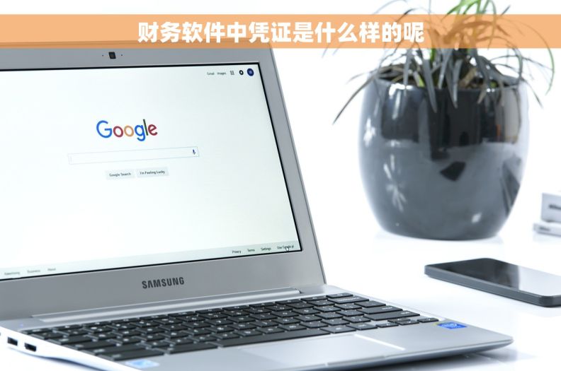 财务软件中凭证是什么样的呢