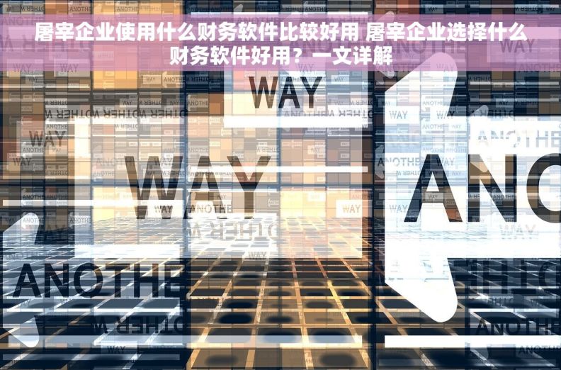 屠宰企业使用什么财务软件比较好用 屠宰企业选择什么财务软件好用？一文详解