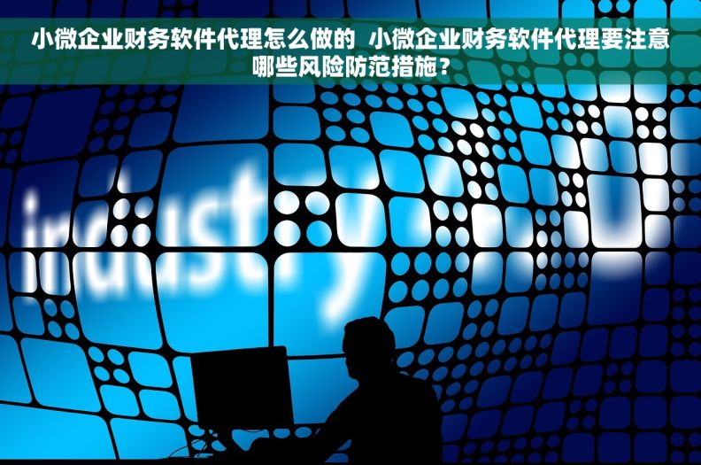 小微企业财务软件代理怎么做的  小微企业财务软件代理要注意哪些风险防范措施？