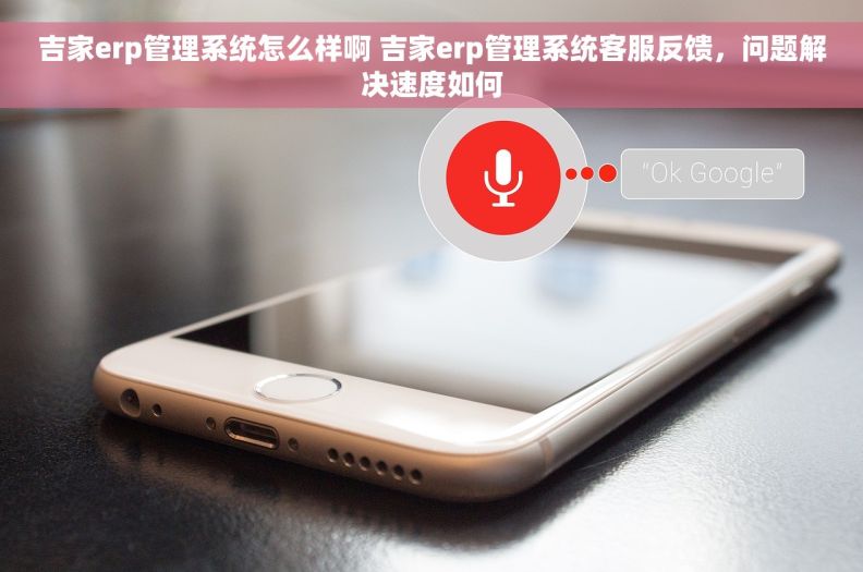 吉家erp管理系统怎么样啊 吉家erp管理系统客服反馈，问题解决速度如何