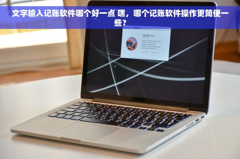 文字输入记账软件哪个好一点 嘿，哪个记账软件操作更简便一些？
