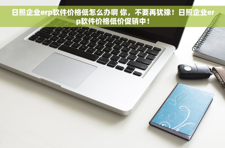 日照企业erp软件价格低怎么办啊 你，不要再犹豫！日照企业erp软件价格低价促销中！