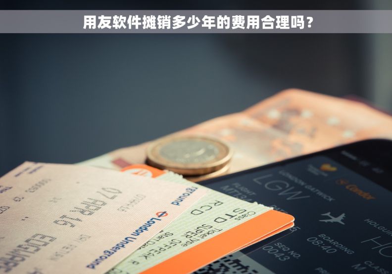  用友软件摊销多少年的费用合理吗？