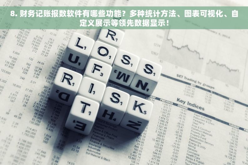 8. 财务记账报数软件有哪些功能？多种统计方法、图表可视化、自定义展示等领先数据显示！