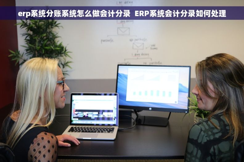 erp系统分账系统怎么做会计分录  ERP系统会计分录如何处理