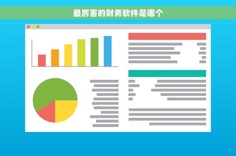 最厉害的财务软件是哪个