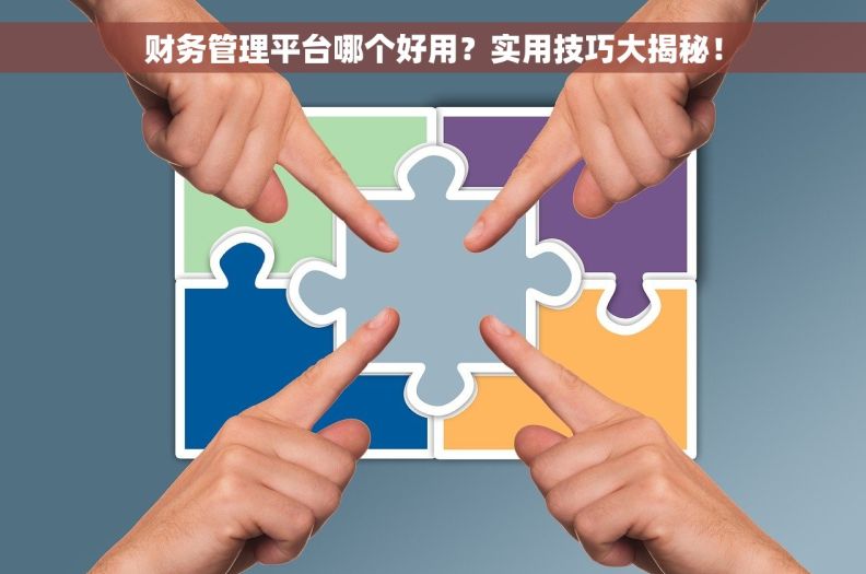 财务管理平台哪个好用？实用技巧大揭秘！