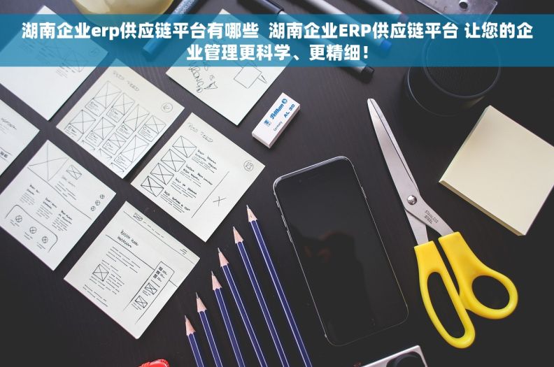 湖南企业erp供应链平台有哪些  湖南企业ERP供应链平台 让您的企业管理更科学、更精细！
