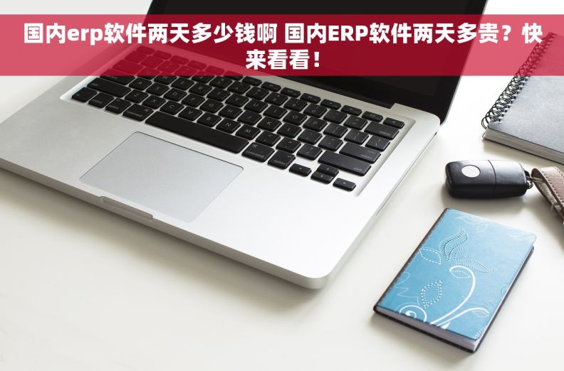 国内erp软件两天多少钱啊 国内ERP软件两天多贵？快来看看！
