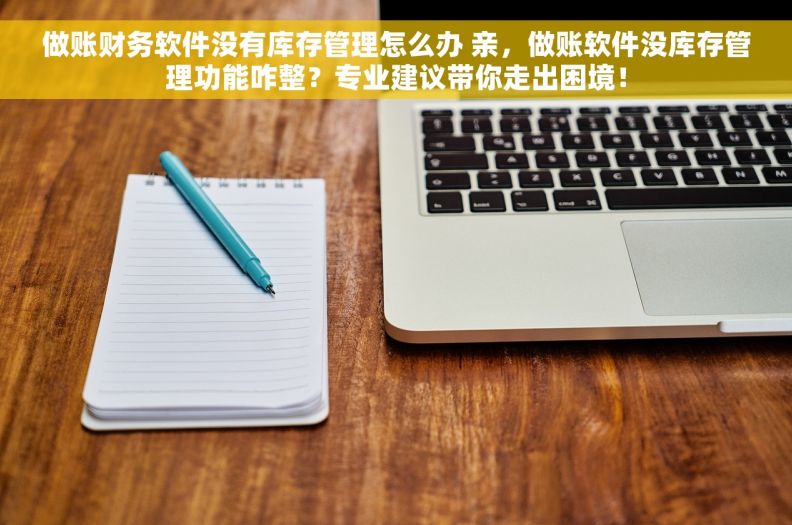 做账财务软件没有库存管理怎么办 亲，做账软件没库存管理功能咋整？专业建议带你走出困境！