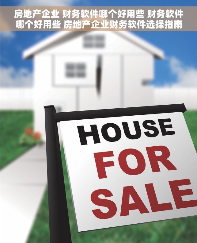 房地产企业 财务软件哪个好用些 财务软件哪个好用些 房地产企业财务软件选择指南