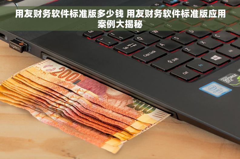 用友财务软件标准版多少钱 用友财务软件标准版应用案例大揭秘