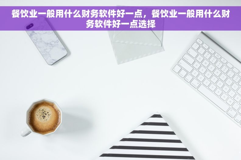 餐饮业一般用什么财务软件好一点，餐饮业一般用什么财务软件好一点选择