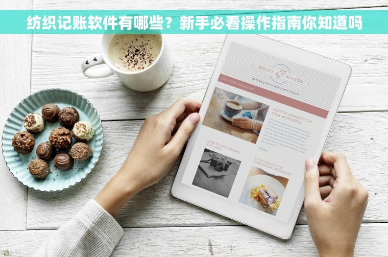纺织记账软件有哪些？新手必看操作指南你知道吗