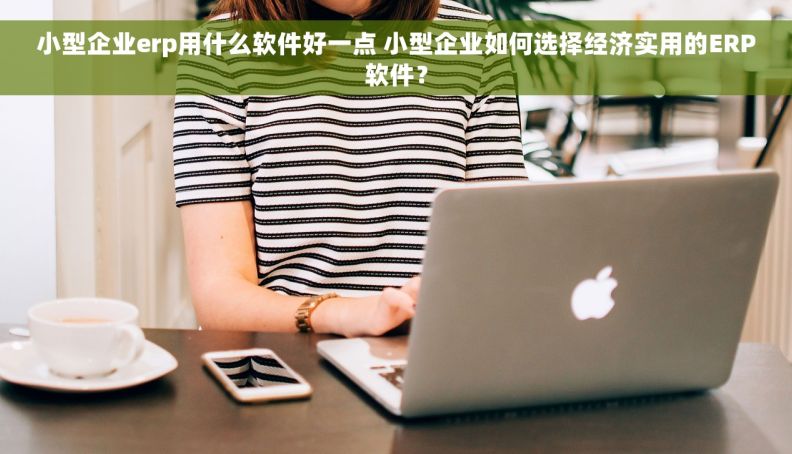 小型企业erp用什么软件好一点 小型企业如何选择经济实用的ERP软件？