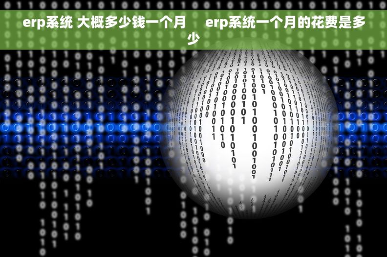 erp系统 大概多少钱一个月     erp系统一个月的花费是多少